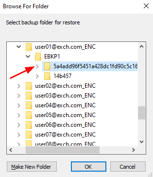 Select the encrypted backup files