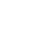 NSF Icon
